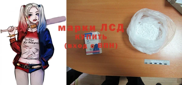 прущие грибы Карпинск
