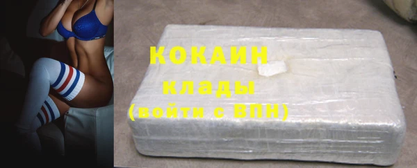 прущие грибы Карпинск