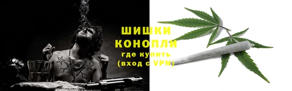 прущие грибы Карпинск