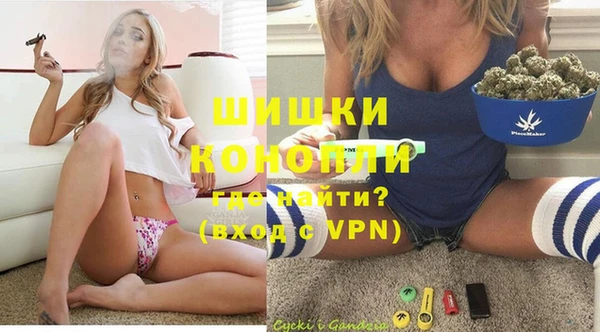 прущие грибы Карпинск