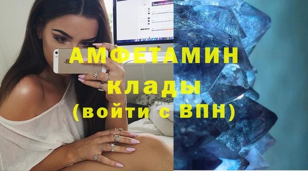 прущие грибы Карпинск