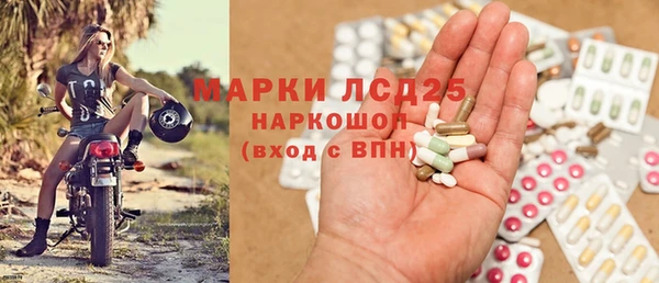 прущие грибы Карпинск